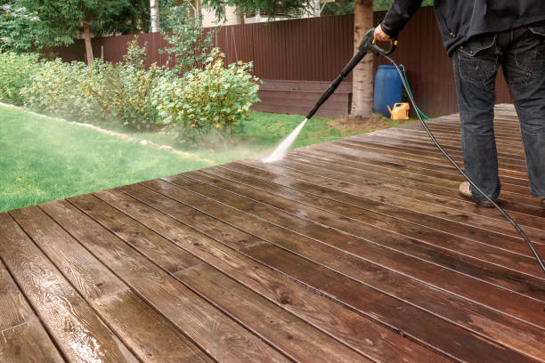 Best Animal Enclosure Cleaning  in Pomona Park, FL