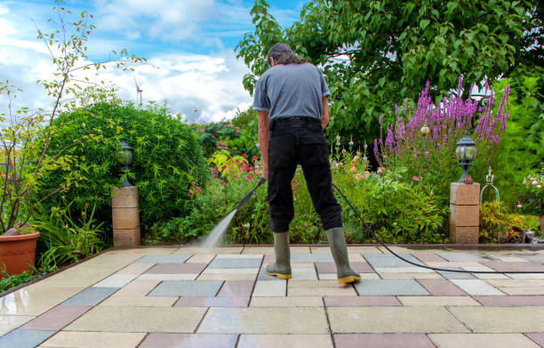 Best Winterizing Services  in Pomona Park, FL