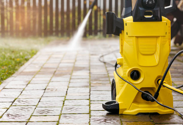 Best Solar Panel Cleaning  in Pomona Park, FL